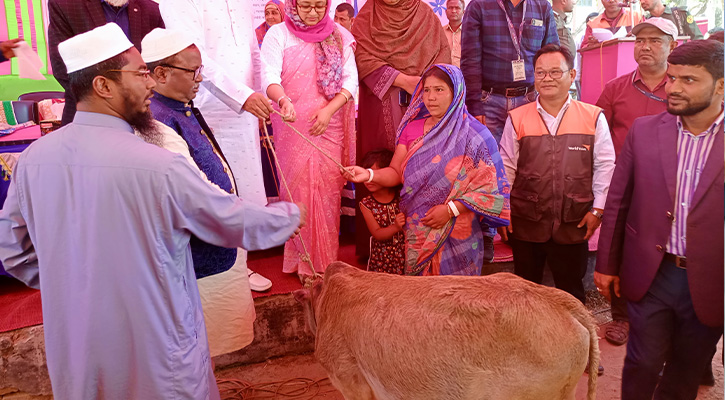 দরিদ্রের মাঝে ওয়ার্ল্ড ভিশনের বকনা গরু বিতরণ