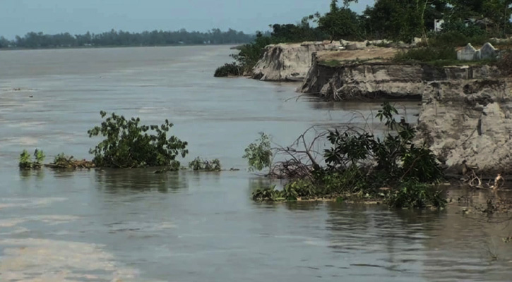 যমুনার ভাঙনে বিলীন ৫ শতাধিক বাড়ি