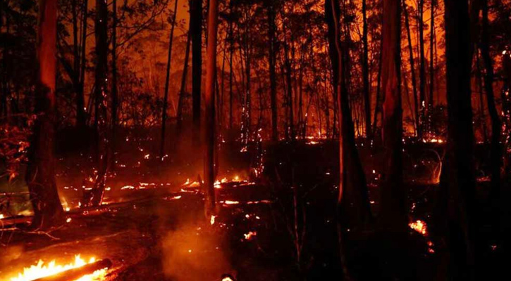 ব্রাজিলে রাজধানীর কাছাকাছি পৌঁছে গেছে দাবানল