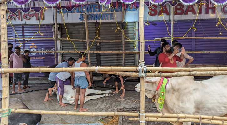 ঈদের দ্বিতীয় দিনেও পশু কোরবানি করছেন অনেকে