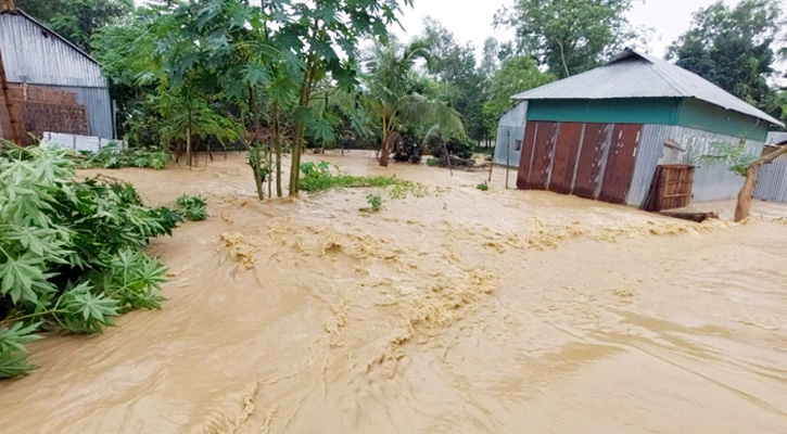 পাহাড়ি ঢলে শেরপুরে শতাধিক গ্রাম প্লাবিত