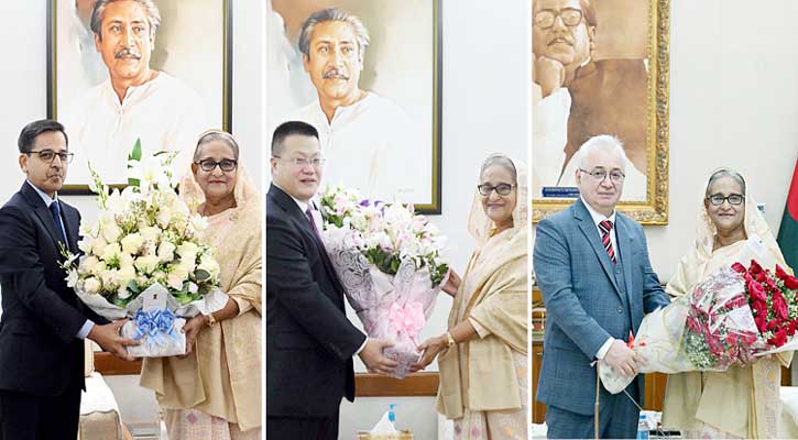 প্রধানমন্ত্রীর সঙ্গে চীন, রাশিয়া, ভারতসহ বিভিন্ন দেশের রাষ্ট্রদূতের সাক্ষাৎ