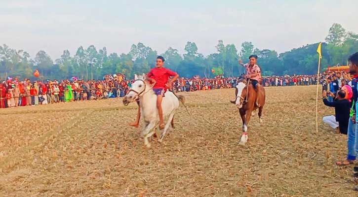 সরিষাবাড়ীতে গ্রাম-বাংলার ঐতিহ্যবাহী ঘোড়দৌড় দেখতে জনতার ভিড়