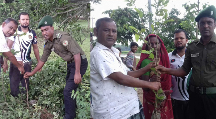 তানোরে আনসার প্লাটুন কমান্ডারের বৃক্ষ রোপণ ও বিতরণ 