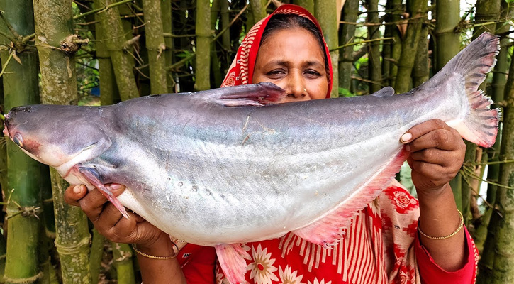 পাঙ্গাশ মাছের উপকারিতা