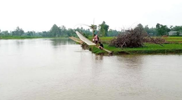 ঈদের আগে উজানে ভারী বৃষ্টি, কুড়িগ্রামে বন্যার শঙ্কা