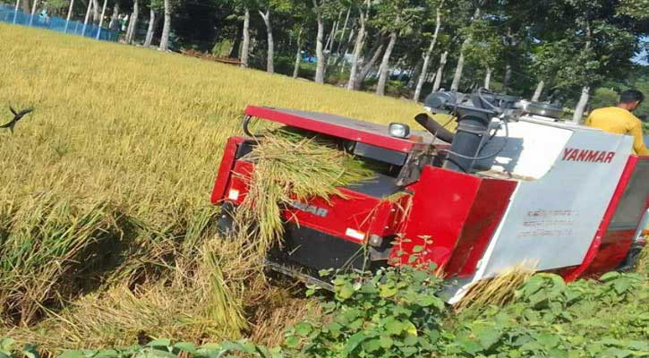 হারভেষ্টার মেশিনের সুবিধা পেয়ে খুশি কেন্দুয়ার কৃষক 