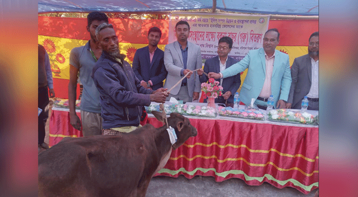 বাউফলে জেলেদের মাঝে বকনা বাছুর বিতরণ