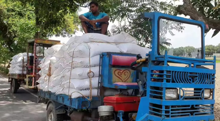 তানোরে চোরাপথে আশা মানহীন সারে সয়লাব বাজার, নিরব কৃষি অফিস