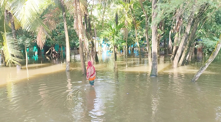 চুরির ভয়ে ঘর ছাড়ছেন না পানিবন্দিরা