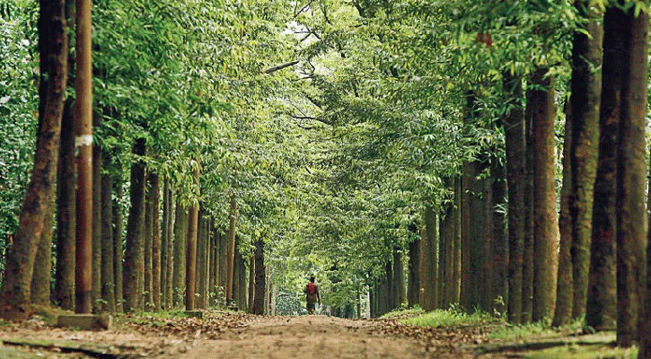 বোটানিক্যাল গার্ডেনের প্রবেশ ফি কমানো