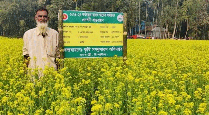 সরিষা ফুলের সাথেই যেন দোল খাচ্ছে  হাজারো কৃষকের রঙিন স্বপ্ন