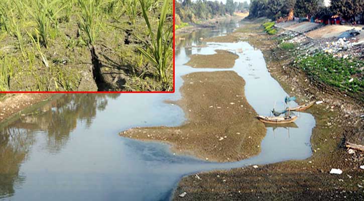 হাইমচরে খালে পানি না থাকায় দুশ্চিন্তায় দিন কাটাচ্ছেন কৃষকরা