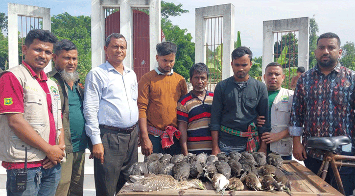 কোটালীপাড়ায় তিন পাখি শিকারীকে সাজা