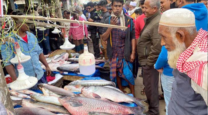 কমলগঞ্জে জমে উঠেছে মাছের মেলা