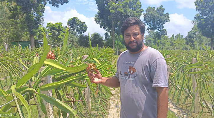 চাকরি ছেড়ে ড্রাগন চাষে রাণীশংকৈলের অভিকের বাজিমাত