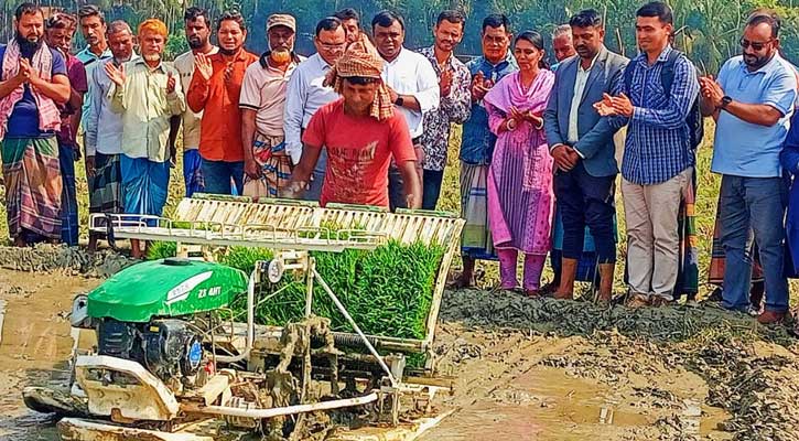 কাউখালীতে শস্য নিবিড়তা বৃদ্ধির লক্ষ্যে কৃষক মাঠ দিবস অনুষ্ঠিত