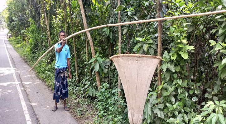 পিঁপড়ার ডিমে চলে মুহিত ব্যাপারীর সংসার