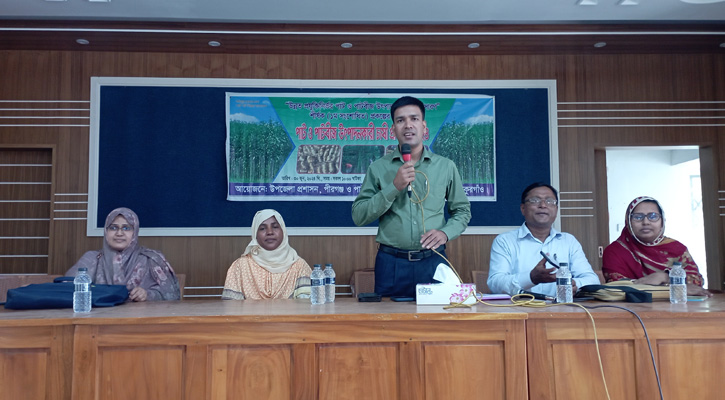 পীরগঞ্জে পাট ও পাটবীজ উৎপাদনকারী চাষীদের প্রশিক্ষণ