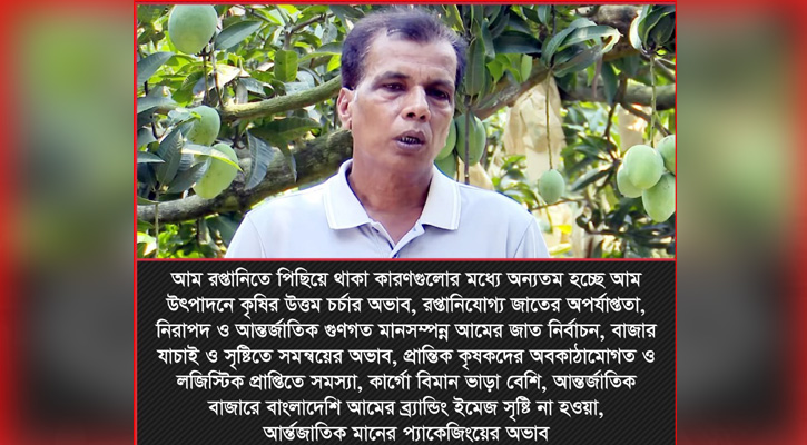 আম নিয়ে কষ্টগাঁথা