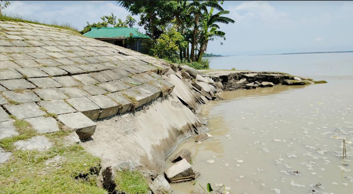 উলিপুরে তিস্তা নদীর বাম তীর রক্ষা বাঁধে ধস