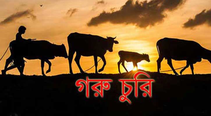 পিরোজপুরে ৩দিনে পাঁচটি গরু চুরির অভিযোগ