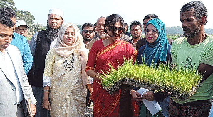 কালীগঞ্জে রাইস ট্রান্সপ্লান্টারের মাধ্যমে ধানের চারা রোপন উদ্বোধন