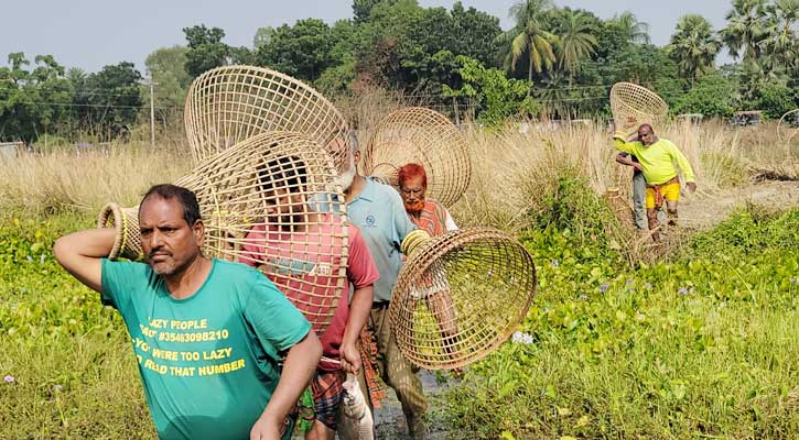 পলো উৎসবে মেতেছে গ্রাম-বাংলার সৌখিন মৎস্য শিকারীরা