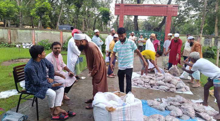 আমতলীতে সামুদ্রিক মাছ আটক, এতিম খানায় বিতরন