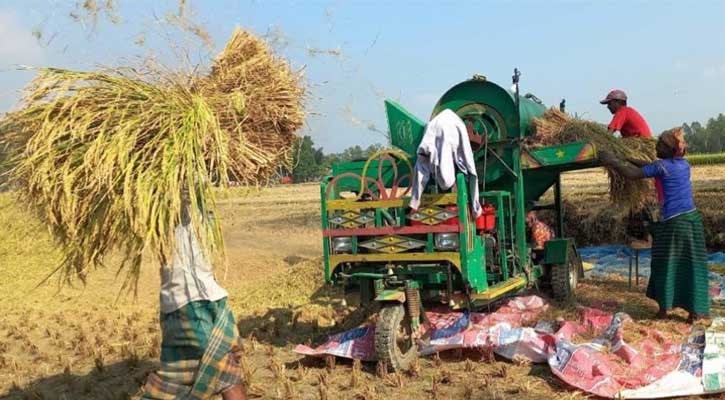 উল্লাপাড়ায় কৃষক পছন্দের ধান মাড়াই মেশিন