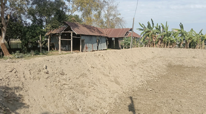 মদনে মাদ্রাসার মাটি কেটে  বিক্রির অভিযোগ