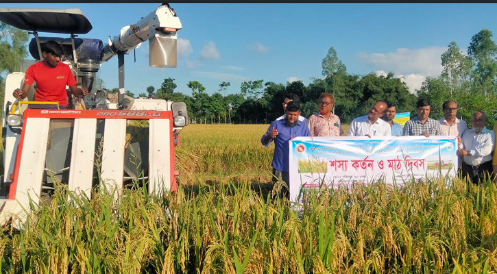 সুন্দরগঞ্জ আউশ ধানের শস্য কর্তন ও মাঠ দিবস পালিত