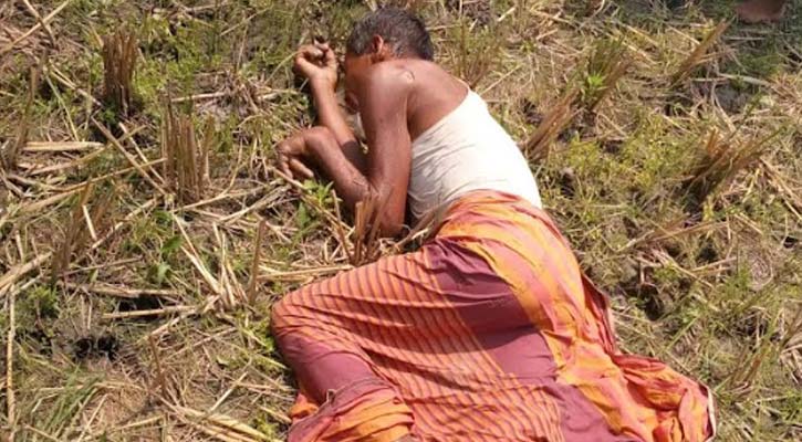 সরাইলে জমি থেকে অজ্ঞাত ব্যক্তির মরদেহ উদ্ধার