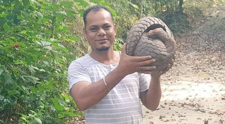 মহা বিপন্ন  স্তন্যপায়ী প্রাণী বনরুই‍‍`