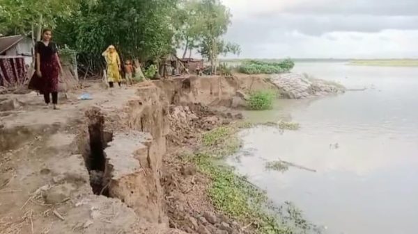 নড়াইলের মধুমতী নদীর ভাঙ্গনে দিশেহারা কয়েকশ পরিবার