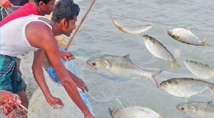 ২২ দিনের নিষেধাজ্ঞায় তীরে ফিরেছেন জেলেরা