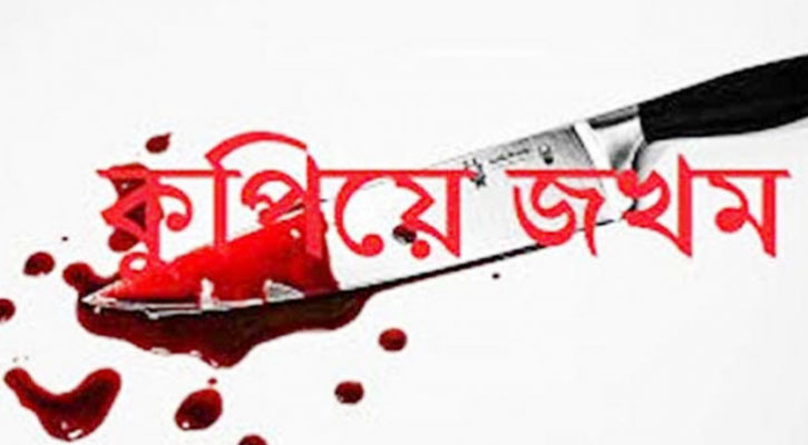 মধুখালিতে মাকে কুপিয়ে জখম, চিকিৎসাধীন অবস্থায় মৃত্যু