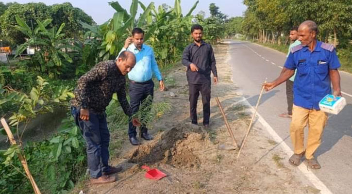 মুন্সীগঞ্জের লৌহজংয়ে খাল পাড়ের সৌন্দর্য বর্ধনে ১২০ টি কৃষ্ণচূড়া বৃক্ষরোপন