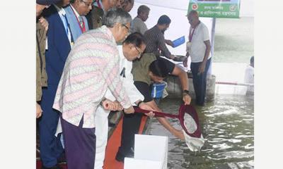 বঙ্গভবনের পুকুরে মাছের পোনা অবমুক্ত করলেন রাষ্ট্রপতি