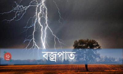 গলাচিপায় বজ্রপাতে তিন গরু নিহত