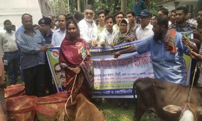 তানোরে কৃষকের মাঝে কৃষি প্রণোদনা ও আদিবাসীদের গরু ও হাঁস বিতরণ