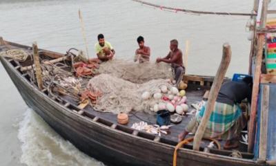 ভরা মৌসুমেও ইলিশের আকাল