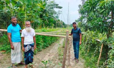 শীতের আগমনী বার্তায় শীতকালীন সবজি চাষে ব্যস্ত আত্রাইয়ের কৃষক