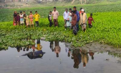 সোনারগাঁয়ে ব্রহ্মপুত্র নদ থেকে অটোরিকশা  চালকের মরদেহ উদ্ধার