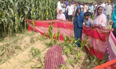 ঠাকুরগাঁওয়ে ভূট্টা ক্ষেত থেকে এক নারীর মরদেহ উদ্ধার