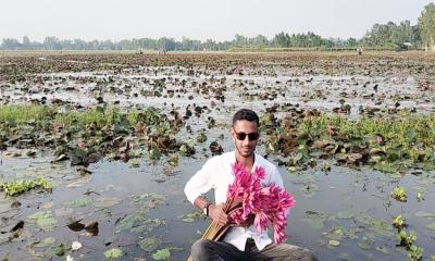 কুড়িগ্রামে হাজারো শাপলার অপরূপ সৌন্দর্য সবাইকে মুগ্ধ করছে