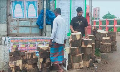 গুরুদাসপুরে ঈদ ঘিরে বেড়েছে কাঠের গুড়ির দাম