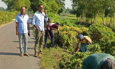 রাতের বেলা ডাকাতি প্রতিরোধে সড়কের উভয় পাশের ঝোপ জঙ্গল পরিষ্কার