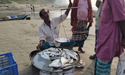 সারাদিনের রোজগার দিয়েও মিলছে না ১ কেজি ইলিশ