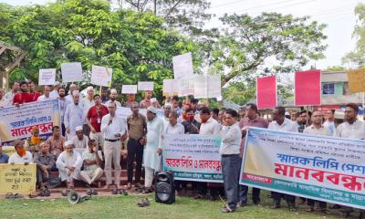 পলাশে মাধ্যমিক শিক্ষা প্রতিষ্ঠান জাতীয়করণের দাবিতে  শিক্ষকদের মানববন্ধন